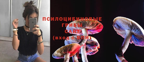 а пвп мука Абаза