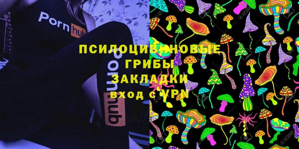 а пвп мука Абаза