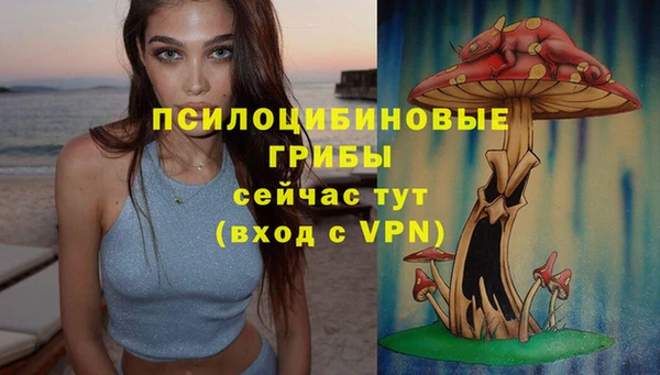 каннабис Алексеевка