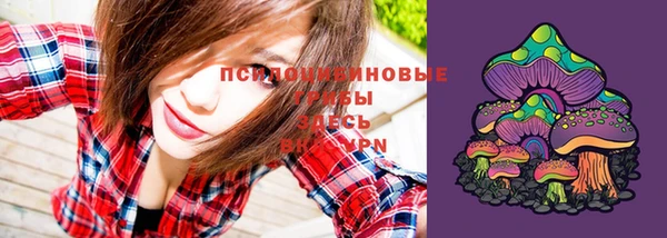 каннабис Алексеевка