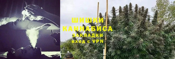 а пвп мука Абаза