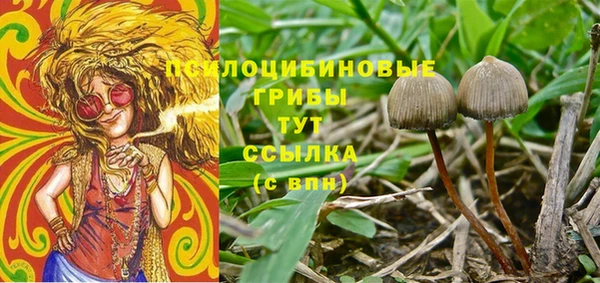 тгк Абинск