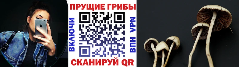 Псилоцибиновые грибы Magic Shrooms  наркотики  Монино 